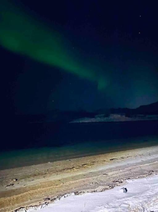 Holiday Home With Sauna In The Arctic Caribbean, Tromsø Extérieur photo